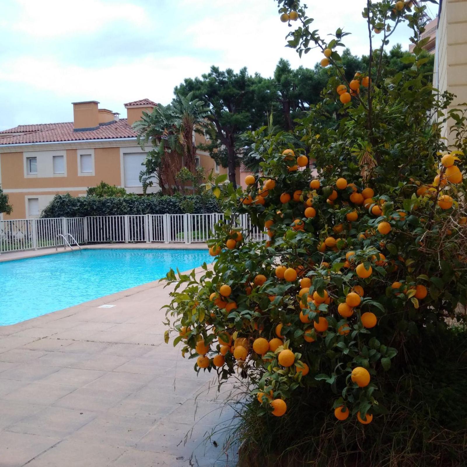 Direct Monaco Studio Devant Piscine Beausoleil Zewnętrze zdjęcie